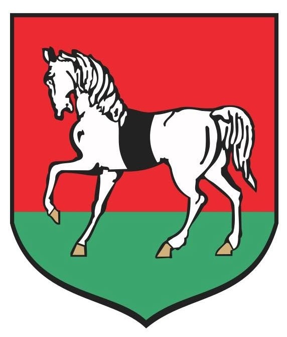 Sponsor Główny